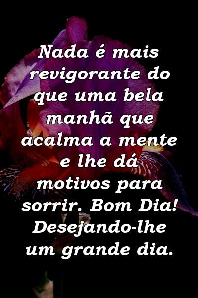 Nada é mais revigorante do que uma bela manhã que acalma a mente e lhe dá motivos para sorrir. Bom Dia! Desejando-lhe um grande dia.