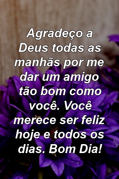 Agradeço a Deus todas as manhãs por me dar um amigo tão bom como você. Você merece ser feliz hoje e todos os dias. Bom Dia!