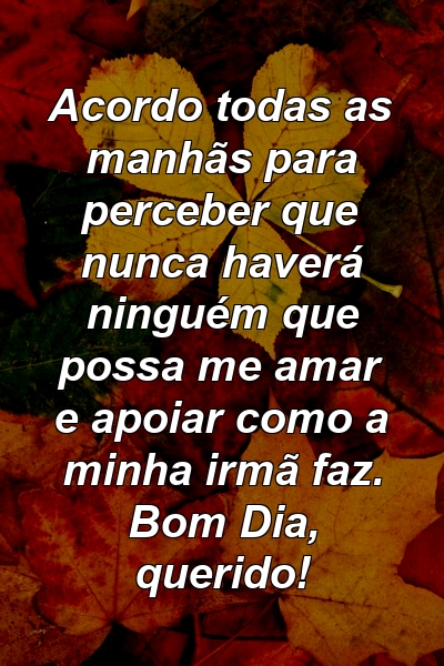 Acordo todas as manhãs para perceber que nunca haverá ninguém que possa me amar e apoiar como a minha irmã faz. Bom Dia, querido!