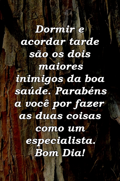 Dormir e acordar tarde são os dois maiores inimigos da boa saúde. Parabéns a você por fazer as duas coisas como um especialista. Bom Dia!