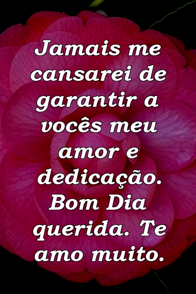 Jamais me cansarei de garantir a vocês meu amor e dedicação. Bom Dia querida. Te amo muito.