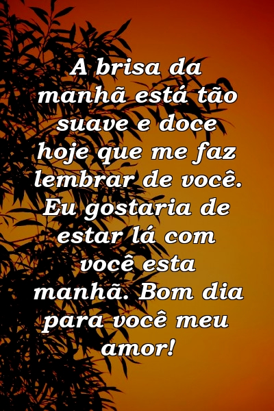 A brisa da manhã está tão suave e doce hoje que me faz lembrar de você. Eu gostaria de estar lá com você esta manhã. Bom dia para você meu amor!