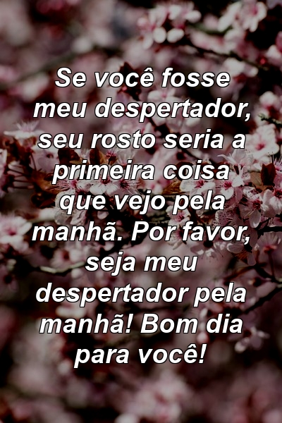 Se você fosse meu despertador, seu rosto seria a primeira coisa que vejo pela manhã. Por favor, seja meu despertador pela manhã! Bom dia para você!