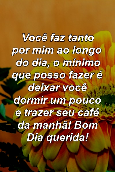 Você faz tanto por mim ao longo do dia, o mínimo que posso fazer é deixar você dormir um pouco e trazer seu café da manhã! Bom Dia querida!