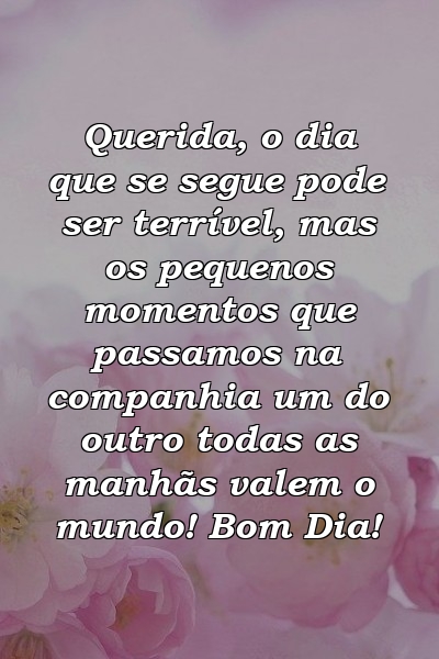 Querida, o dia que se segue pode ser terrível, mas os pequenos momentos que passamos na companhia um do outro todas as manhãs valem o mundo! Bom Dia!