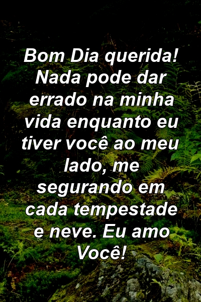 Bom Dia querida! Nada pode dar errado na minha vida enquanto eu tiver você ao meu lado, me segurando em cada tempestade e neve. Eu amo Você!