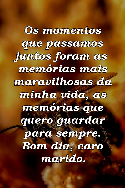 Os momentos que passamos juntos foram as memórias mais maravilhosas da minha vida, as memórias que quero guardar para sempre. Bom dia, caro marido.