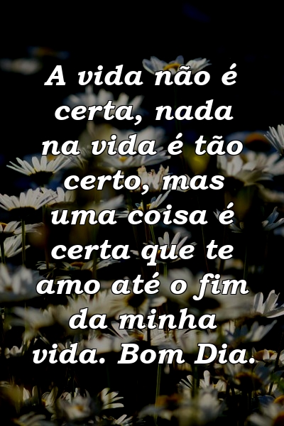 A vida não é certa, nada na vida é tão certo, mas uma coisa é certa que te amo até o fim da minha vida. Bom Dia.