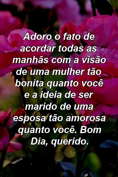 Adoro o fato de acordar todas as manhãs com a visão de uma mulher tão bonita quanto você e a ideia de ser marido de uma esposa tão amorosa quanto você. Bom Dia, querido.