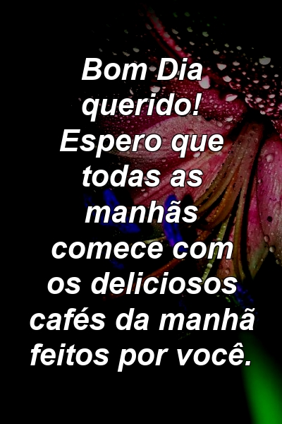 Bom Dia querido! Espero que todas as manhãs comece com os deliciosos cafés da manhã feitos por você.