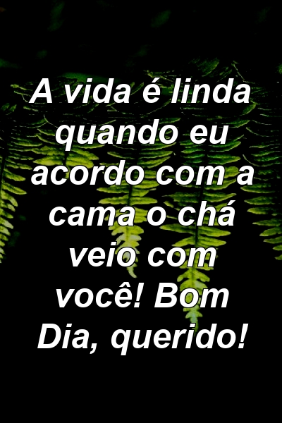 A vida é linda quando eu acordo com a cama o chá veio com você! Bom Dia, querido!