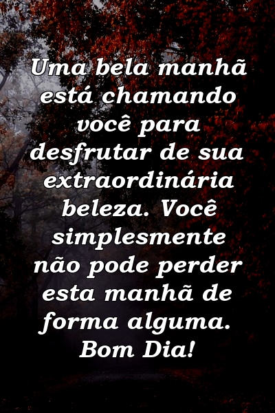 Uma bela manhã está chamando você para desfrutar de sua extraordinária beleza. Você simplesmente não pode perder esta manhã de forma alguma. Bom Dia!