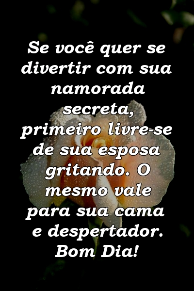 Se você quer se divertir com sua namorada secreta, primeiro livre-se de sua esposa gritando. O mesmo vale para sua cama e despertador. Bom Dia!