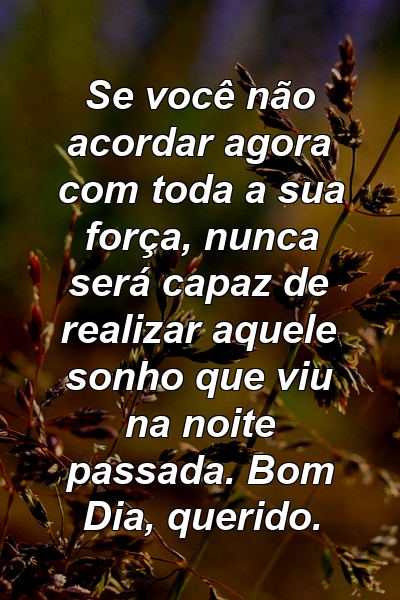 Se você não acordar agora com toda a sua força, nunca será capaz de realizar aquele sonho que viu na noite passada. Bom Dia, querido.