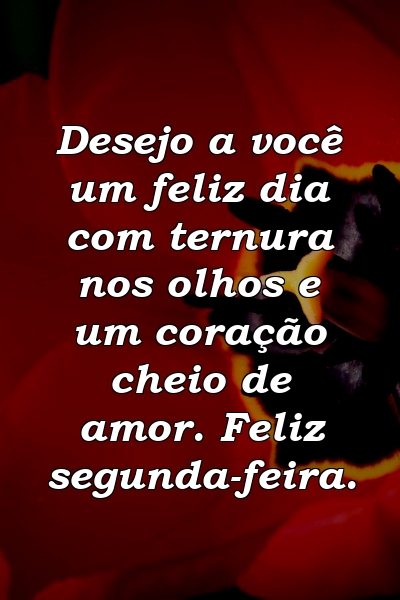 Desejo a você um feliz dia com ternura nos olhos e um coração cheio de amor. Feliz segunda-feira.