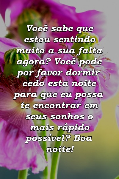 Você sabe que estou sentindo muito a sua falta agora? Você pode por favor dormir cedo esta noite para que eu possa te encontrar em seus sonhos o mais rápido possível? Boa noite!