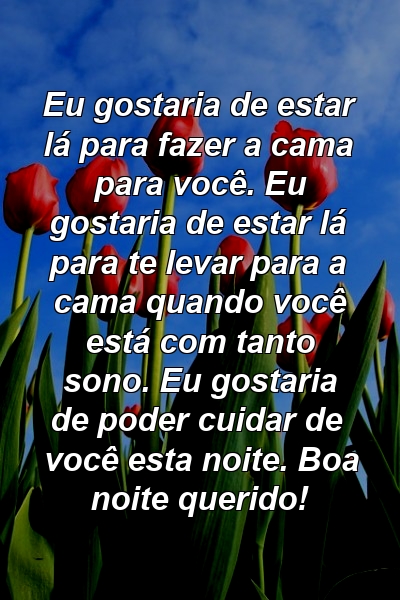 Eu gostaria de estar lá para fazer a cama para você. Eu gostaria de estar lá para te levar para a cama quando você está com tanto sono. Eu gostaria de poder cuidar de você esta noite. Boa noite querido!