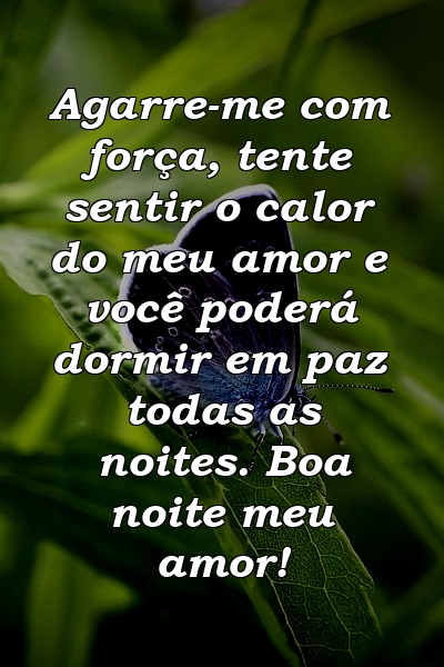 Agarre-me com força, tente sentir o calor do meu amor e você poderá dormir em paz todas as noites. Boa noite meu amor!