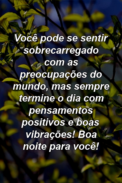 Você pode se sentir sobrecarregado com as preocupações do mundo, mas sempre termine o dia com pensamentos positivos e boas vibrações! Boa noite para você!