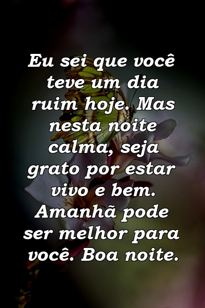 Eu sei que você teve um dia ruim hoje. Mas nesta noite calma, seja grato por estar vivo e bem. Amanhã pode ser melhor para você. Boa noite.