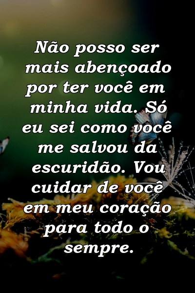 Não posso ser mais abençoado por ter você em minha vida. Só eu sei como você me salvou da escuridão. Vou cuidar de você em meu coração para todo o sempre.