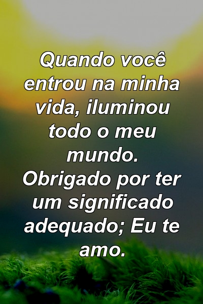 Quando você entrou na minha vida, iluminou todo o meu mundo. Obrigado por ter um significado adequado; Eu te amo.