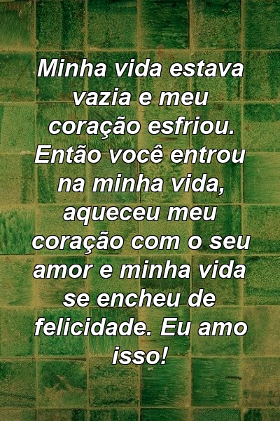 Minha vida estava vazia e meu coração esfriou. Então você entrou na minha vida, aqueceu meu coração com o seu amor e minha vida se encheu de felicidade. Eu amo isso!