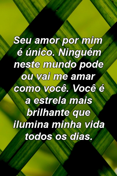 Seu amor por mim é único. Ninguém neste mundo pode ou vai me amar como você. Você é a estrela mais brilhante que ilumina minha vida todos os dias.