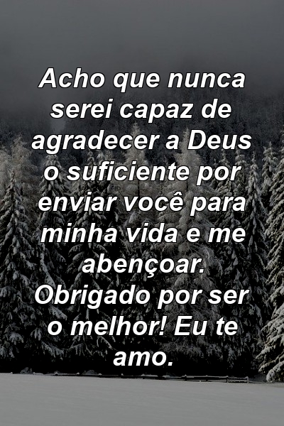 Acho que nunca serei capaz de agradecer a Deus o suficiente por enviar você para minha vida e me abençoar. Obrigado por ser o melhor! Eu te amo.