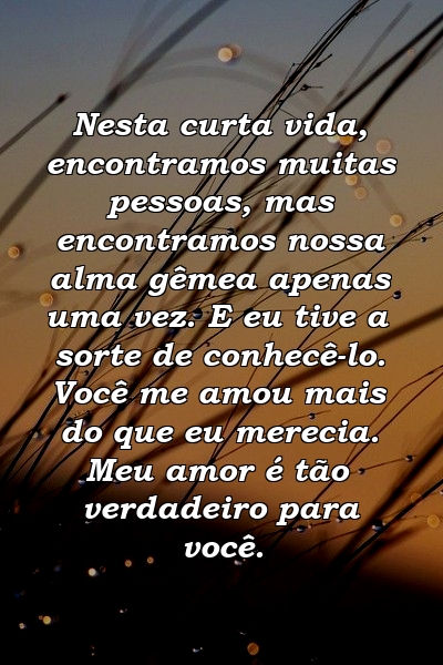 Nesta curta vida, encontramos muitas pessoas, mas encontramos nossa alma gêmea apenas uma vez. E eu tive a sorte de conhecê-lo. Você me amou mais do que eu merecia. Meu amor é tão verdadeiro para você.