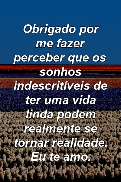 Obrigado por me fazer perceber que os sonhos indescritíveis de ter uma vida linda podem realmente se tornar realidade. Eu te amo.