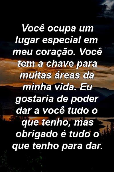 Você ocupa um lugar especial em meu coração. Você tem a chave para muitas áreas da minha vida. Eu gostaria de poder dar a você tudo o que tenho, mas obrigado é tudo o que tenho para dar.