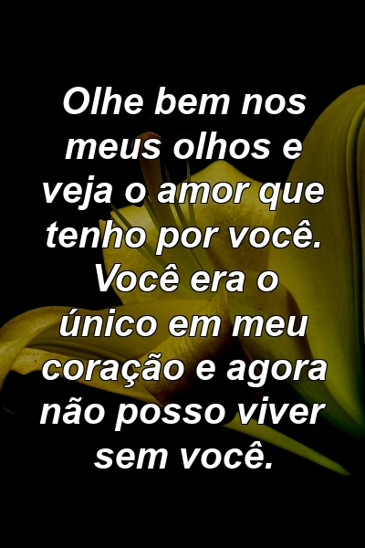 Olhe bem nos meus olhos e veja o amor que tenho por você. Você era o único em meu coração e agora não posso viver sem você.