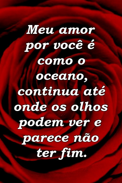 Meu amor por você é como o oceano, continua até onde os olhos podem ver e parece não ter fim.