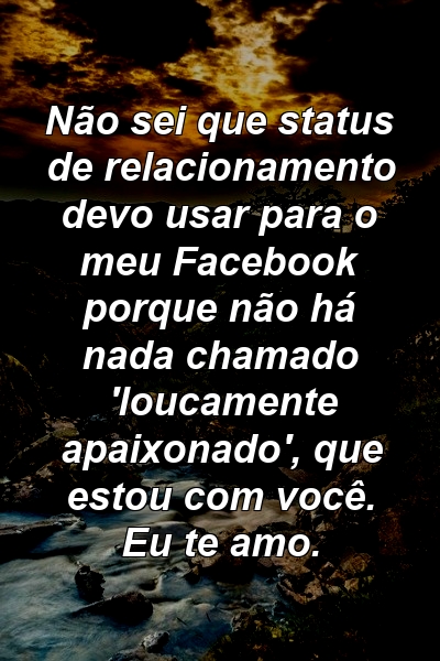 Não sei que status de relacionamento devo usar para o meu Facebook porque não há nada chamado 