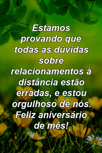 Estamos provando que todas as dúvidas sobre relacionamentos à distância estão erradas, e estou orgulhoso de nós. Feliz aniversário de mês!