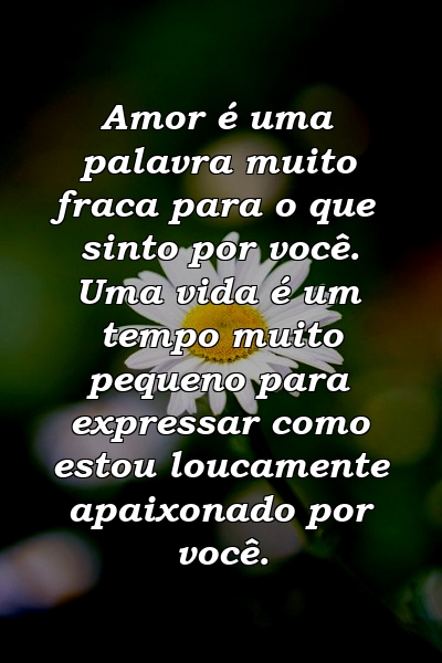 Amor é uma palavra muito fraca para o que sinto por você. Uma vida é um tempo muito pequeno para expressar como estou loucamente apaixonado por você.