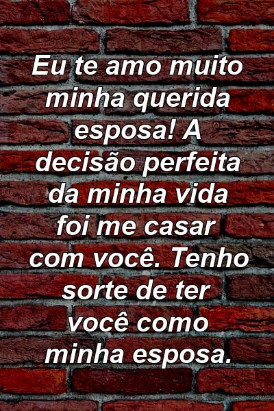 Eu te amo muito minha querida esposa! A decisão perfeita da minha vida foi me casar com você. Tenho sorte de ter você como minha esposa.