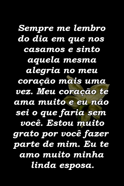 Sempre me lembro do dia em que nos casamos e sinto aquela mesma alegria no meu coração mais uma vez. Meu coração te ama muito e eu não sei o que faria sem você. Estou muito grato por você fazer parte de mim. Eu te amo muito minha linda esposa.