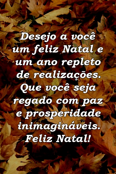 Desejo a você um feliz Natal e um ano repleto de realizações. Que você seja regado com paz e prosperidade inimagináveis. Feliz Natal!