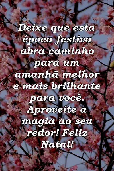 Deixe que esta época festiva abra caminho para um amanhã melhor e mais brilhante para você. Aproveite a magia ao seu redor! Feliz Natal!