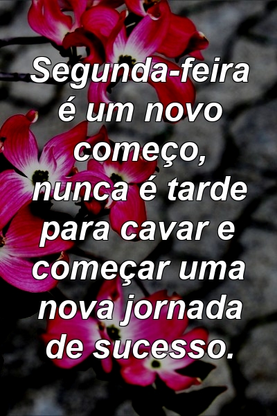 Segunda-feira é um novo começo, nunca é tarde para cavar e começar uma nova jornada de sucesso.