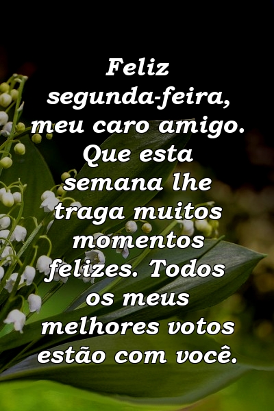 Feliz segunda-feira, meu caro amigo. Que esta semana lhe traga muitos momentos felizes. Todos os meus melhores votos estão com você.