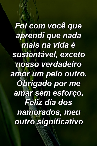 Foi com você que aprendi que nada mais na vida é sustentável, exceto nosso verdadeiro amor um pelo outro. Obrigado por me amar sem esforço. Feliz dia dos namorados, meu outro significativo