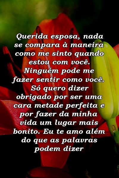 Querida esposa, nada se compara à maneira como me sinto quando estou com você. Ninguém pode me fazer sentir como você. Só quero dizer obrigado por ser uma cara metade perfeita e por fazer da minha vida um lugar mais bonito. Eu te amo além do que as palavras podem dizer