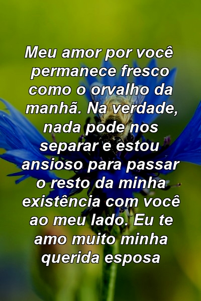 Meu amor por você permanece fresco como o orvalho da manhã. Na verdade, nada pode nos separar e estou ansioso para passar o resto da minha existência com você ao meu lado. Eu te amo muito minha querida esposa