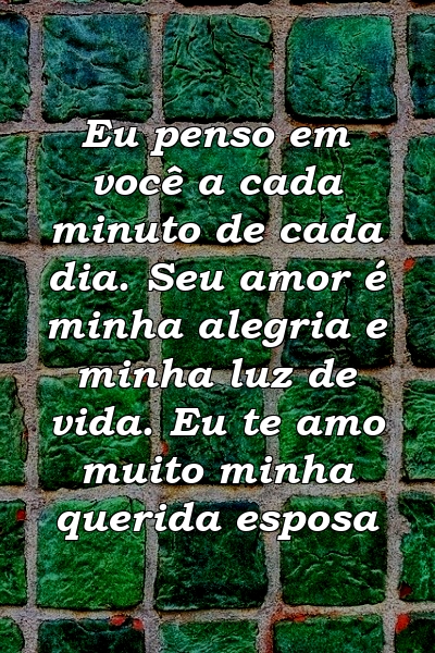 Eu penso em você a cada minuto de cada dia. Seu amor é minha alegria e minha luz de vida. Eu te amo muito minha querida esposa