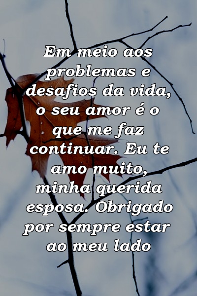 Em meio aos problemas e desafios da vida, o seu amor é o que me faz continuar. Eu te amo muito, minha querida esposa. Obrigado por sempre estar ao meu lado