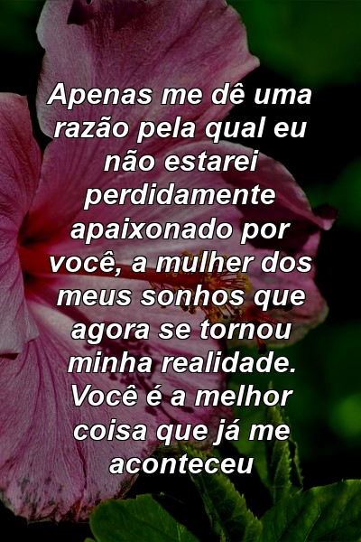 Apenas me dê uma razão pela qual eu não estarei perdidamente apaixonado por você, a mulher dos meus sonhos que agora se tornou minha realidade. Você é a melhor coisa que já me aconteceu