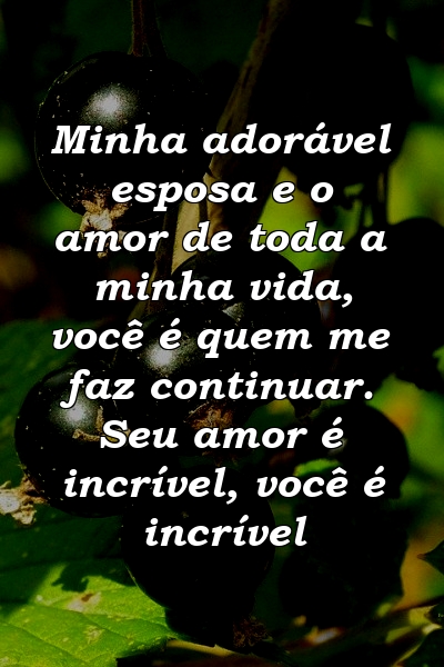 Minha adorável esposa e o amor de toda a minha vida, você é quem me faz continuar. Seu amor é incrível, você é incrível